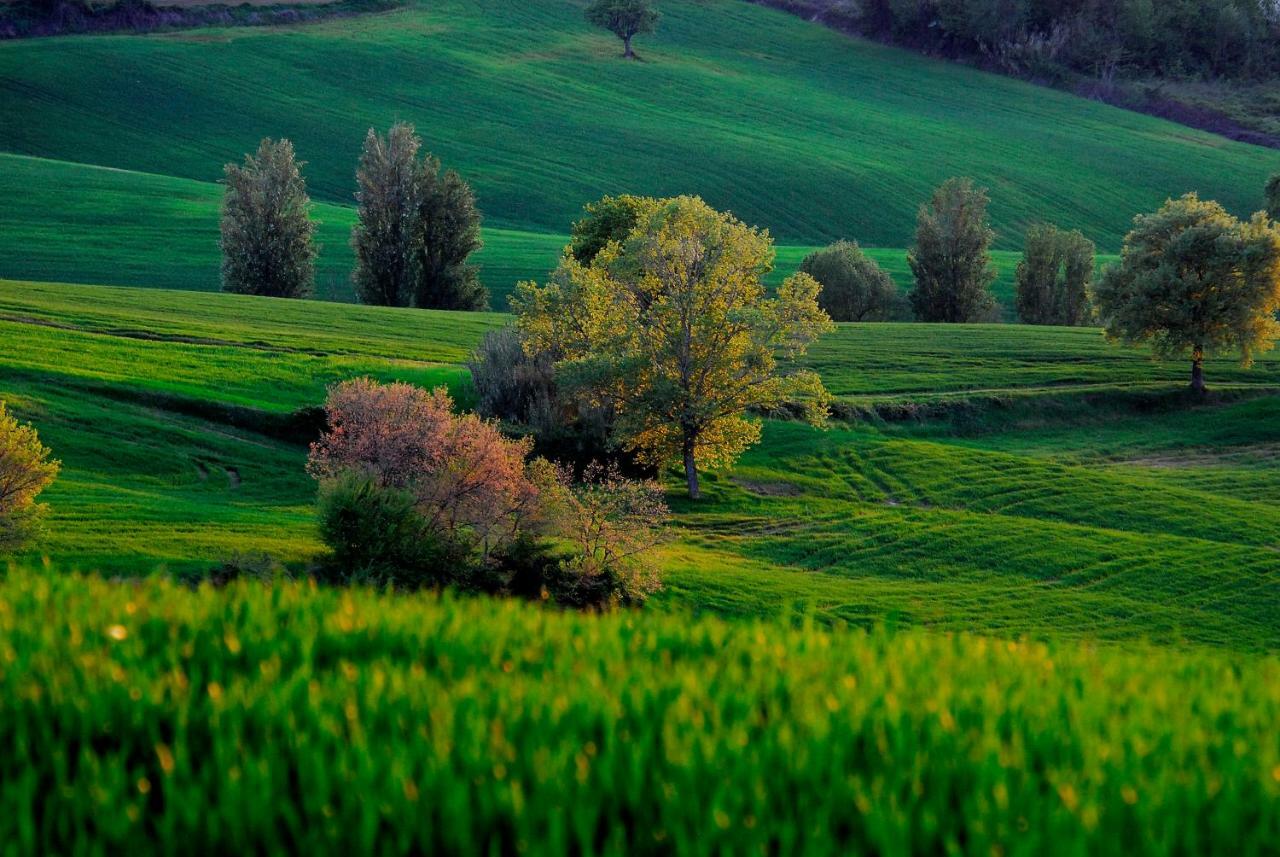 Penzion Il Capuccio San Lorenzo in Campo Exteriér fotografie